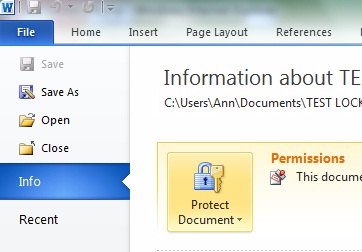 protected word document with editable fields