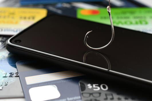 Phishing For Personal Information For Identity Theft