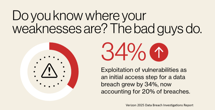 Verizon 2025 DBIR - Vulnerabilities